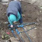 Foto Cum a devenit Dezvoltare Urbană pușculița familiei Păunescu sub mandatul lui Mario De Mezzo