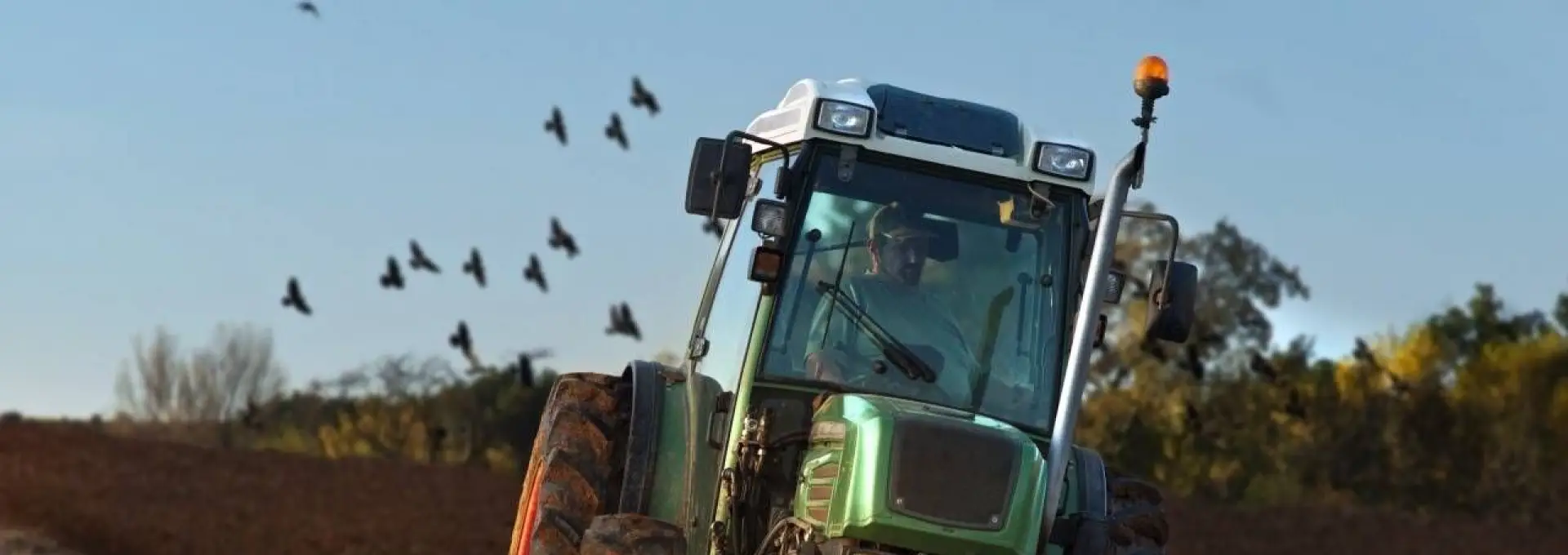 Foto PSD cere deblocarea urgentă a scutirii de taxe pe motorina agricolă: „Alimentele se vor scumpi!”