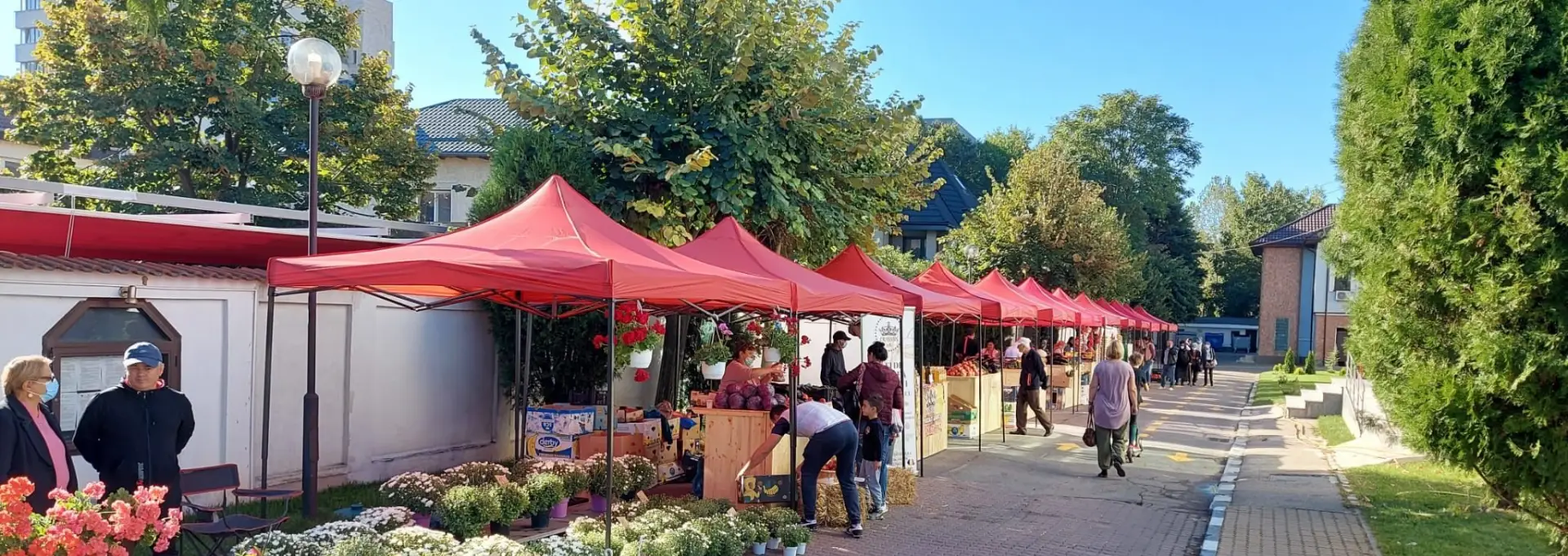 Foto Piața fără intermediari revine la Slatina: Modelul de succes al CJ Olt se redeschide din 5 aprilie