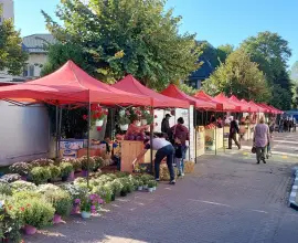 Foto Piața fără intermediari revine la Slatina: Modelul de succes al CJ Olt se redeschide din 5 aprilie