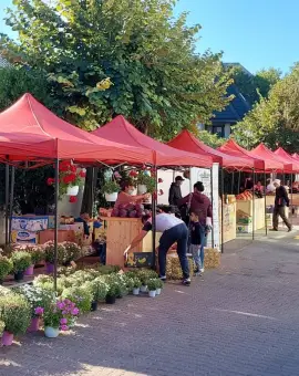 Foto Piața fără intermediari revine la Slatina: Modelul de succes al CJ Olt se redeschide din 5 aprilie