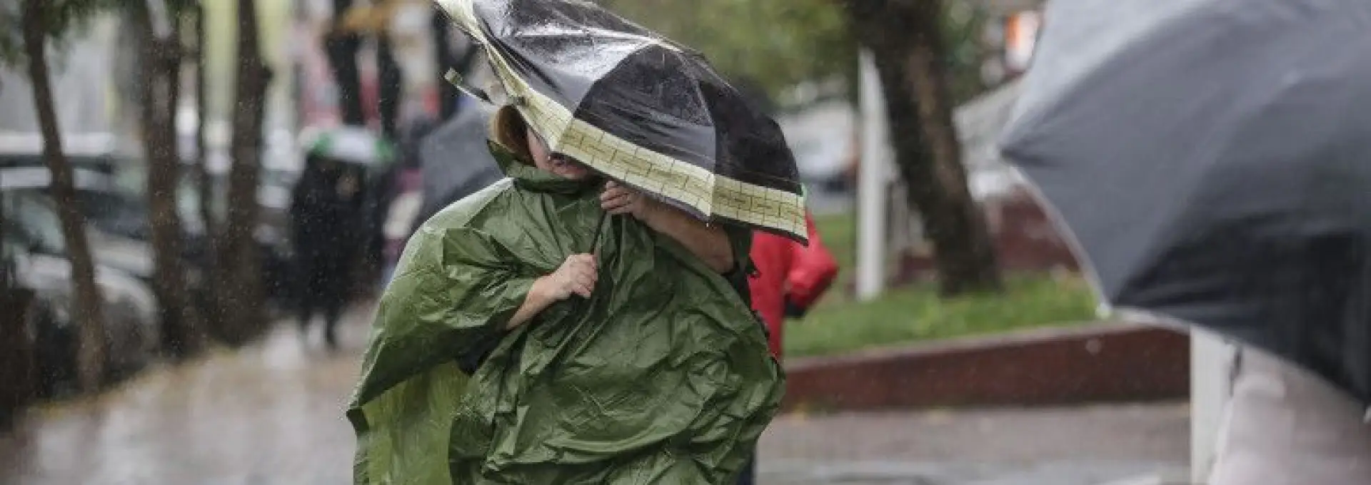 Foto Informare meteo: vânt puternic şi ploi, în toată ţara, până la finalul lunii martie