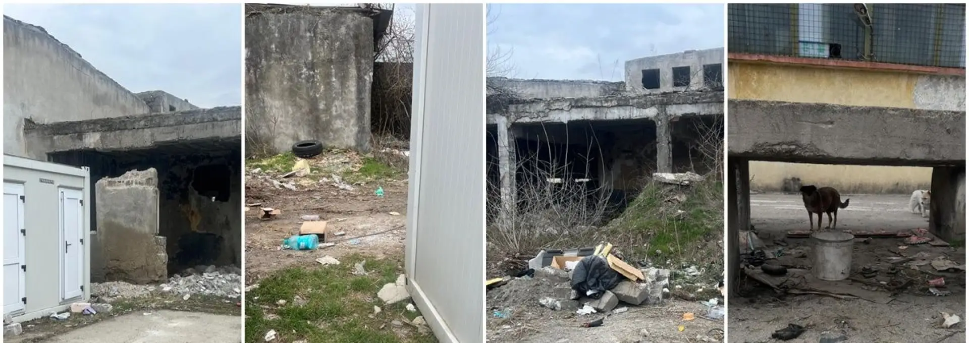 Foto Umilință la marginea Slatinei: Sinistrații de pe strada Grădiște, uitați în containere printre ruine și gunoaie (FOTO)