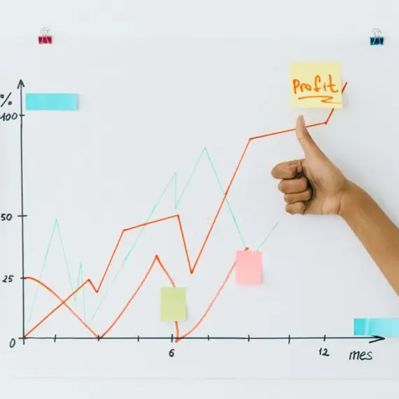 Foto De ce eșuează afacerile din România și mitul contabilului salvator