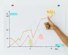 Foto De ce eșuează afacerile din România și mitul contabilului salvator