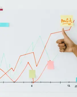 Foto De ce eșuează afacerile din România și mitul contabilului salvator