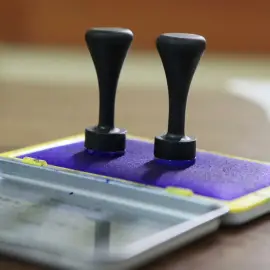 Foto Alegeri parţiale pentru primar, în 10 localităţi printre care una din judeţul Olt