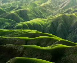 Foto Schimbă tehnologia lupta pentru un mediu mai curat în Oltenia? 