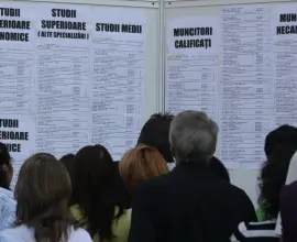 Foto Trei programe de formare profesională vor începe în luna mai 2026, la nivel județean