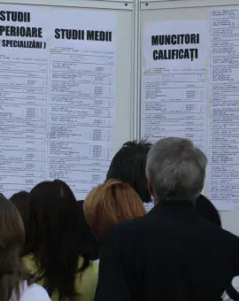 Foto Trei programe de formare profesională vor începe în luna mai 2026, la nivel județean