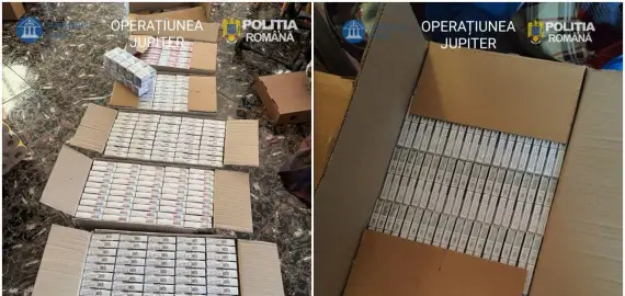 Foto Operațiunea JUPITER: Captură impresionantă de țigări în Olt 