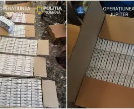 Foto Operațiunea JUPITER: Captură impresionantă de țigări în Olt 