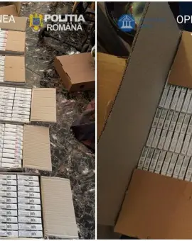 Foto Operațiunea JUPITER: Captură impresionantă de țigări în Olt 