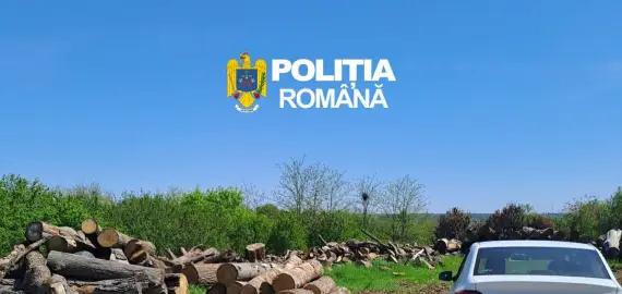 Foto Firme din Olt, amendate după diferențe majore în stocurile de material lemnos