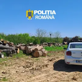 Foto Firme din Olt, amendate după diferențe majore în stocurile de material lemnos