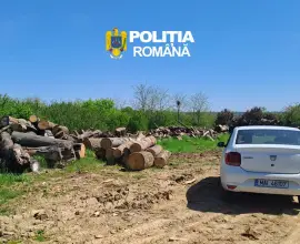 Foto Firme din Olt, amendate după diferențe majore în stocurile de material lemnos