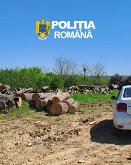 Foto Firme din Olt, amendate după diferențe majore în stocurile de material lemnos