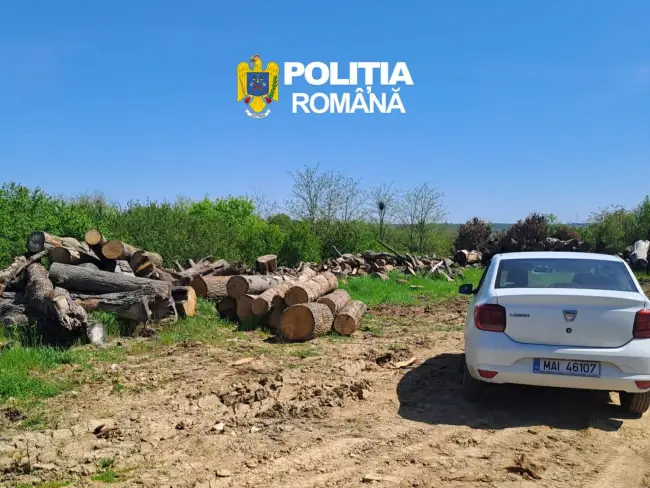Foto Firme din Olt, amendate după diferențe majore în stocurile de material lemnos