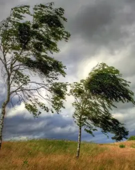 Foto Cod Galben de vânt, valabil până miercuri seară. Rafale de 50-70 km pe oră
