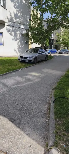 Foto Tupeu de liberal: Cătălin Nedelcu și-a parcat bolidul de lux direct pe spațiul verde, la sediul PNL Slatina (FOTO)