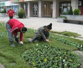 Foto Rupiah, facturi umflate către Primăria Slatina: Două miliarde plivitul, 820 milioane cositul