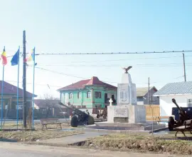 Foto Primăria Deveselu va amplasa un MIG 21 în mijlocul localităţii