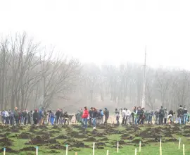 Foto Campanie de împădurire impresionantă, la Vlădila 