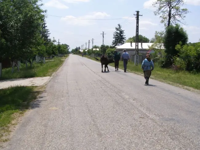 Foto  „Nici salariile aproape că nu le putem achita, stai aici ca să te numeşti că eşti primar”