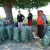 Imagine Legumicultorii olteni, ameninţaţi de faliment, după isteria castraveţilor infestaţi