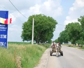 Foto „Ori de vin americanii, ori de nu, tot suntem în pericol”