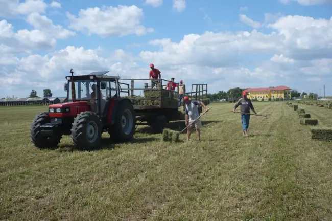 Foto Fermierii de semi-subzistenţă, aduşi la disperare