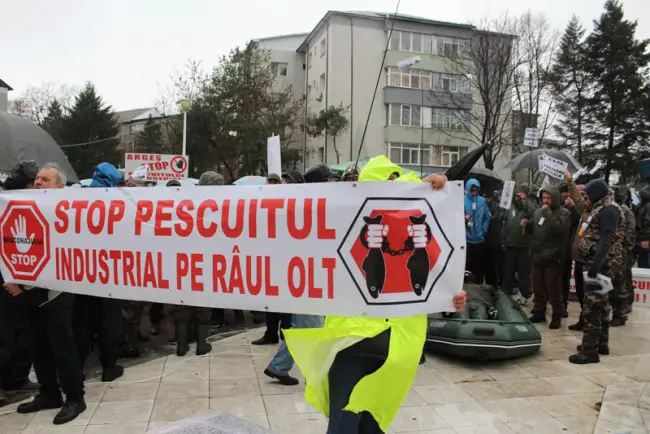 Foto FOTO&VIDEO. Opriţi jaful de pe râul Olt! Pescarii au protestat împotriva braconajului şi pescuitului comercial