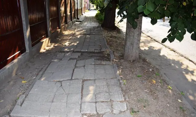 Foto FOTO. Firma din Argeş care execută lucrările de reabilitare pe strada Cuza Vodă din Corabia şi a vătămat mai mulţi arbori, amendată de Garda de Mediu