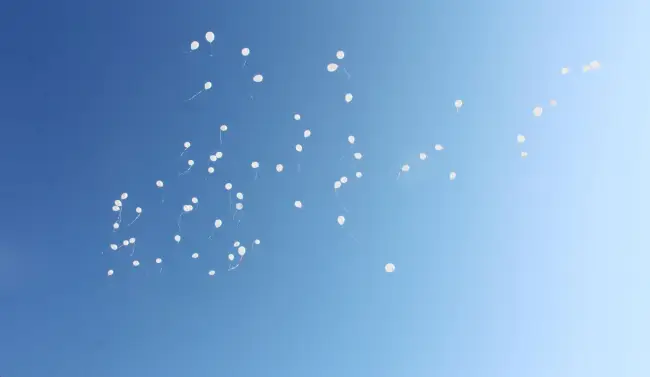 Foto FOTO. Elevii de la CN „Greceanu” au lansat baloane cu ocazia Centenarului Marii Uniri