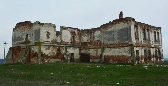 Foto FOTO&VIDEO. Doar zidurile au mai rămas de conacul „Buzescu-Darvari” din Strejeştii de Sus, după ce moştenitorii familiei n-au reuşit să-l reabiliteze