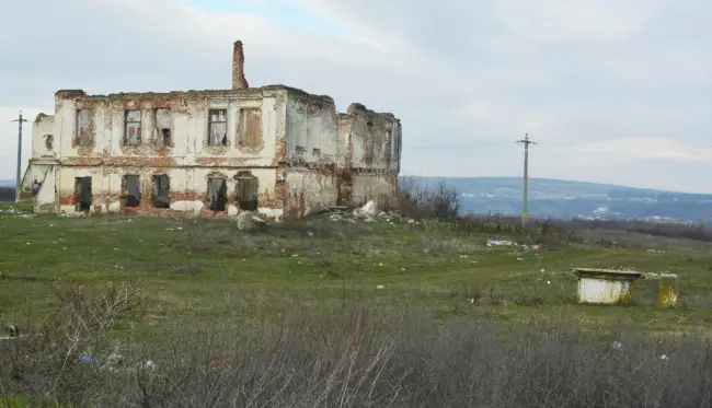 Foto FOTO&VIDEO. Doar zidurile au mai rămas de conacul „Buzescu-Darvari” din Strejeştii de Sus, după ce moştenitorii familiei n-au reuşit să-l reabiliteze
