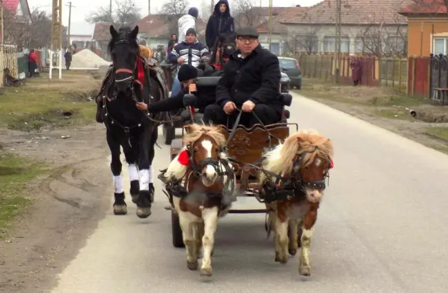 Foto FOTO. „Încuratul Cailor de Sân’ Toader”, tradiţie reînviată în comuna natală a lui Constantin Brâncoveanu