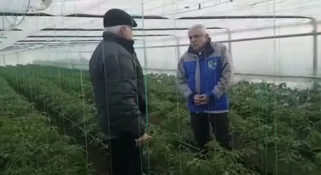 Foto FOTO. Ministrul Agriculturii, în vizită la Izbiceni, unde gerul a făcut ravagii. „Programul Tomata se va realiza”