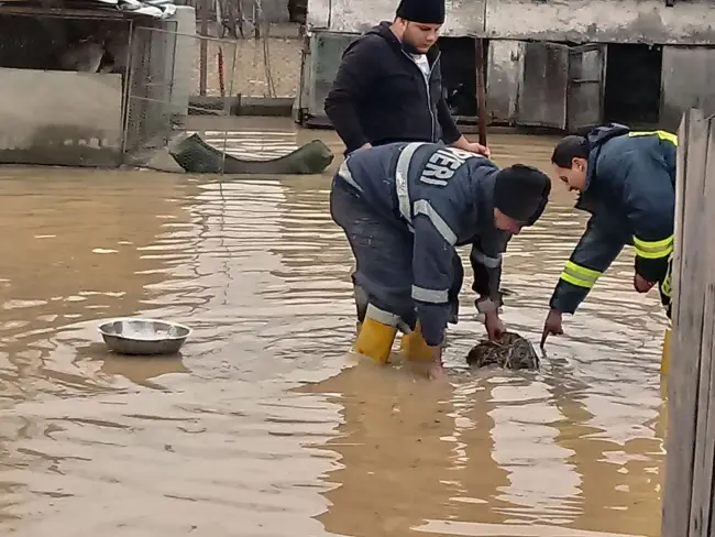 Foto FOTO&VIDEO. Gospodării inundate la Bărăşti. Pompierii au evacuat aproximativ 90 de metri cubi de apă
