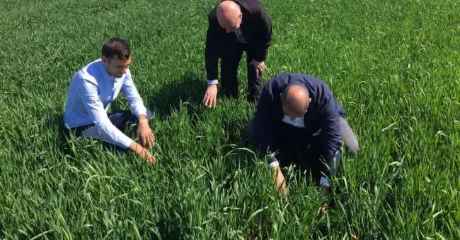 Foto FOTO. Agricultorii din sudul judeţului, întâlnire cu secretarul de stat Botănoiu: „Cel mai important lucru este să nu pierdem contactul cu fermierii”