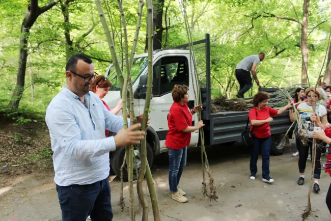Foto FOTO. Femeile şi Tinerii PSD Olt au plantat 1.000 de stejari în patru localităţi din judeţ