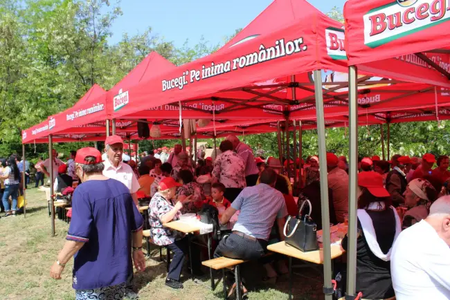 Foto FOTO. Membrii şi simpatizanţii PSD Olt au sărbătorit 1 Mai la pădure