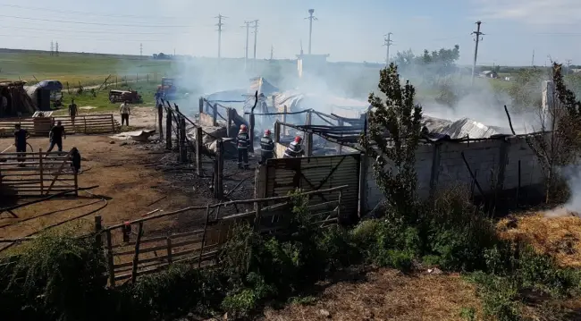 Foto Peste două tone de furaje, arse într-un incendiu