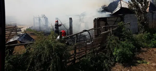 Foto Peste două tone de furaje, arse într-un incendiu
