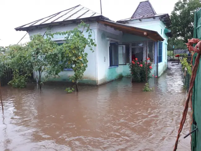 Foto FOTO&VIDEO. Locuință din Stoicănești, inundată de ploaia abundentă