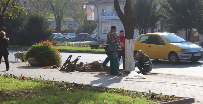 Foto Angajaţi ai Dezvoltare Urbană Slatina, care au cioplit doi pomi de pe bulevard, sancţionaţi