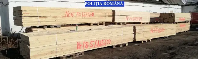Foto Material lemnos, consfiscat de poliţiştii olteni dintr-un tir de Mureş
