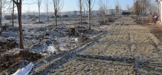 Foto FOTO. Parcul de la fosta unitate militară din Slatina prinde contur. Au fost plantaţi primii copaci