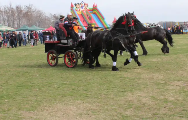 Foto FOTO. „Încuratul cailor de Sân’ Toader” de la Brâncoveni, la a IX-a ediţie. Prezent la sărbătoare, Paul Stănescu a dat o tură cu caleaşca