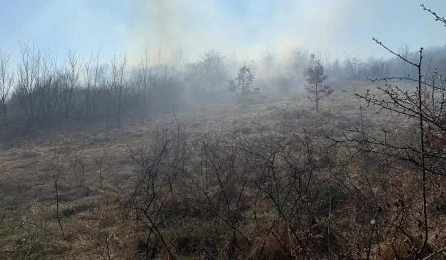 Foto FOTO. Incendiu de vegetaţie uscată la Cungrea. Pompierii încearcă să stingă focul de aproape două ore